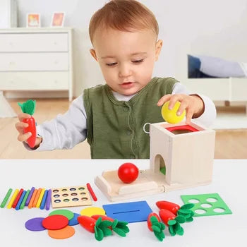 Montessori 4-in-1 Wooden Shape Sorter – Educational Toy for Toddlers and Preschoolers